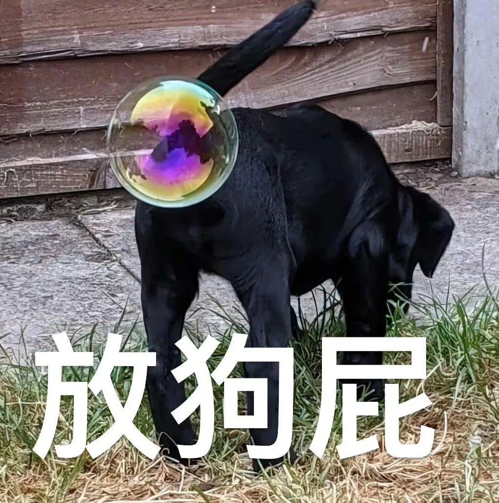 有没有让人笑到肚子痛的表情包?