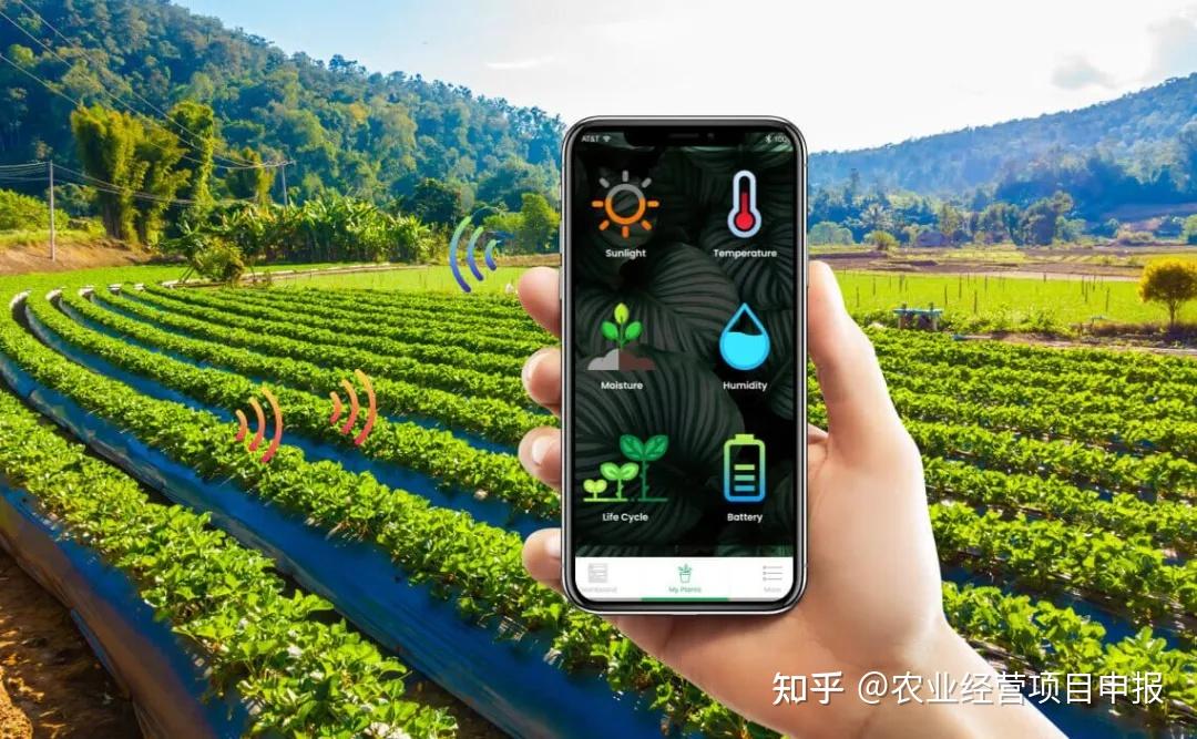 mr.bet App