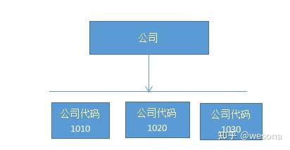 General Ledger Accounting (FI-GL) (四) - 知乎