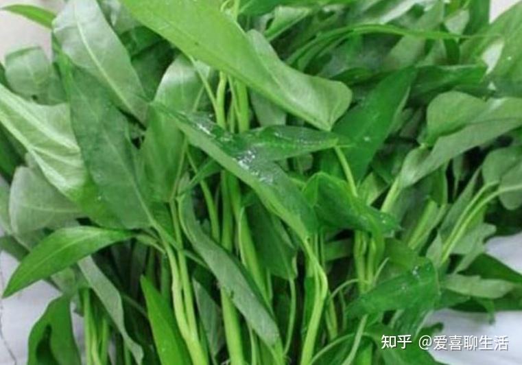 初夏,这6种基本不打农药的蔬菜,再贵也要买,可惜很多人不知道! - 知乎