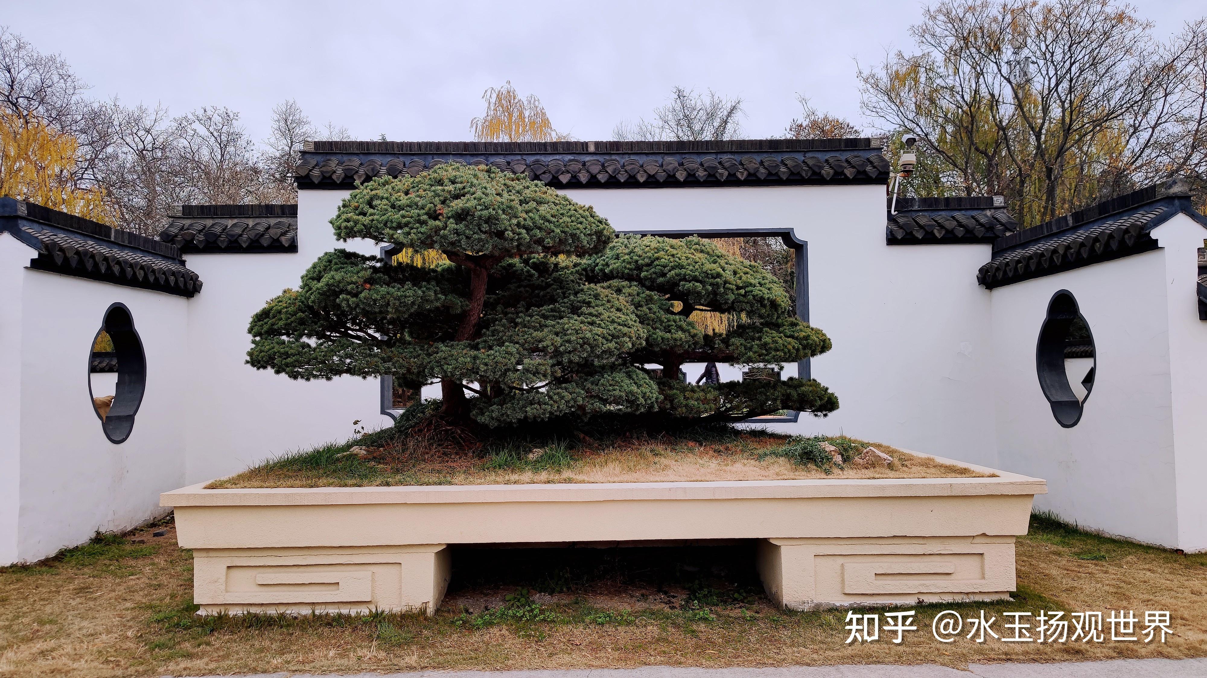 扬州盆景园图片素材-编号12609463-图行天下