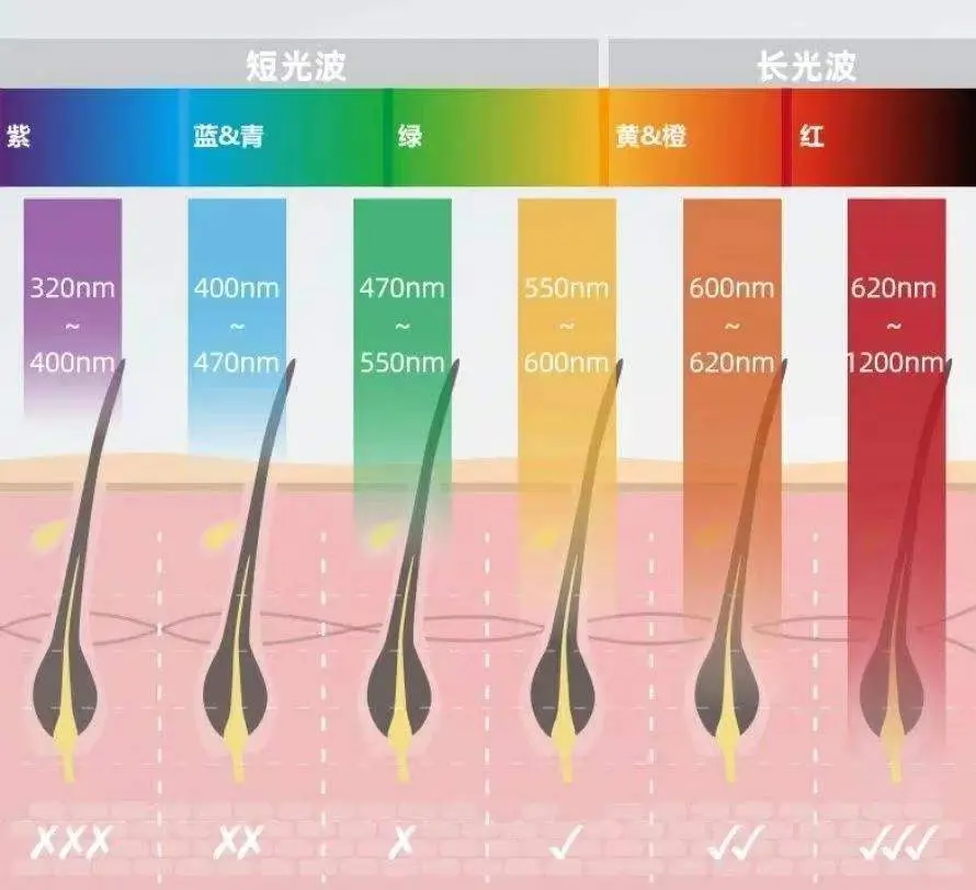 生发仪该如何选择?一文看懂选购要点