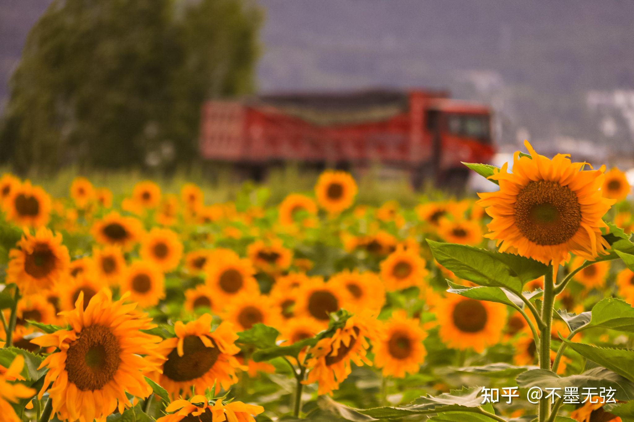 分享一些你觉得温柔或者温暖的瞬间吧