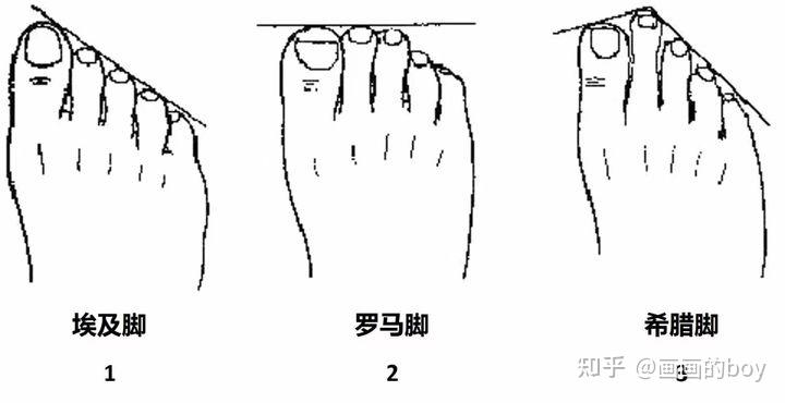 所以你还需要知道自己是什么脚型