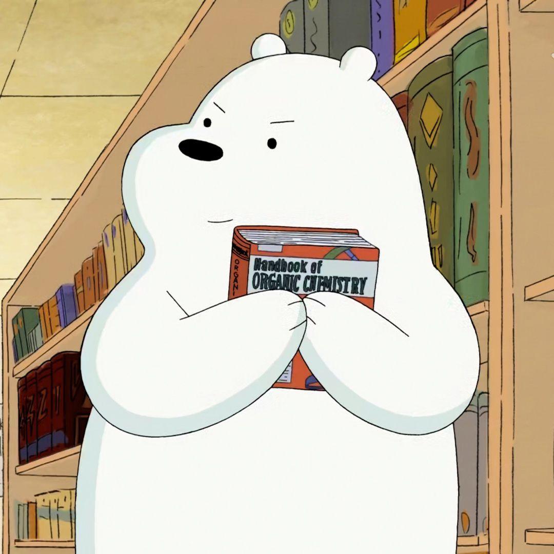 裸熊看书头像图片