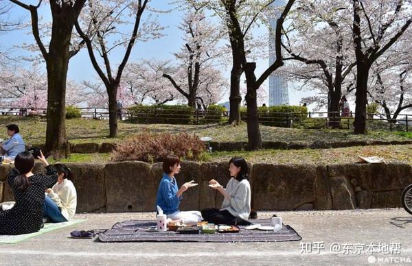 日本樱花季节资讯 赏樱景点44选21年版 知乎