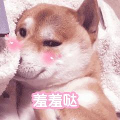动图封面