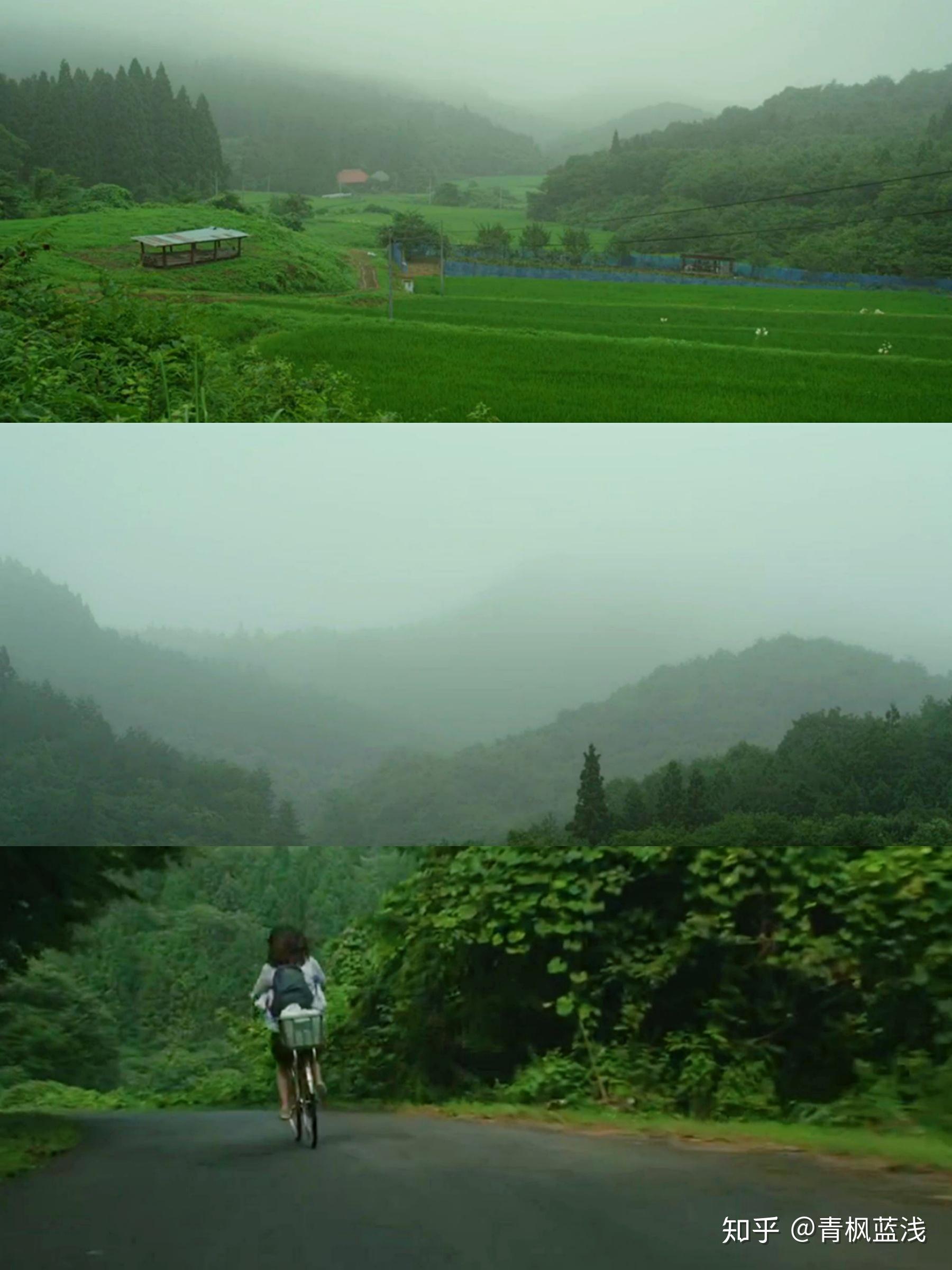 电影《小森林 夏秋篇 》究竟好在哪里?