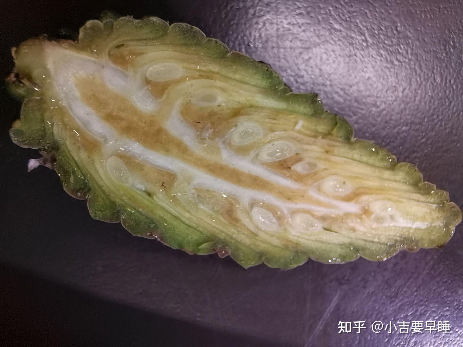 油松大孢子叶球纵切图? - 知乎