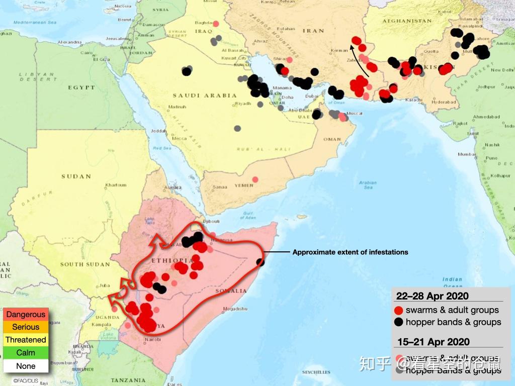 2020非洲蝗灾路线图图片