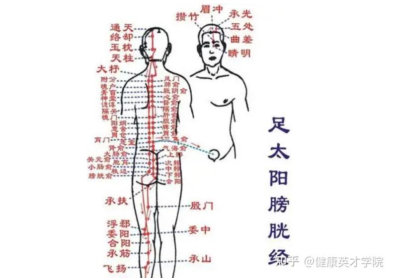 治疗梨状肌综合征不仅可用推拿按摩,试试穴位埋线!作用长久,疗效显著!