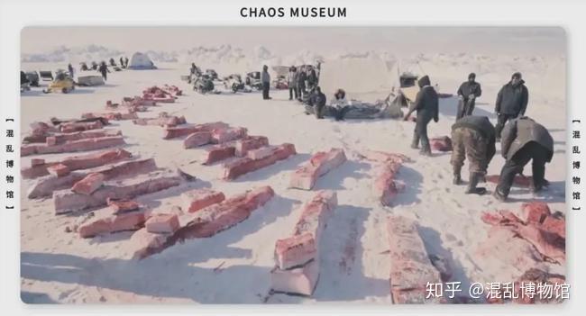 人类可以只吃肉不吃菜吗? 11 v2 2e7e29155c61fcecda8e9c456cdc9a3f 720w