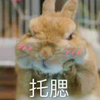 user-profile-image