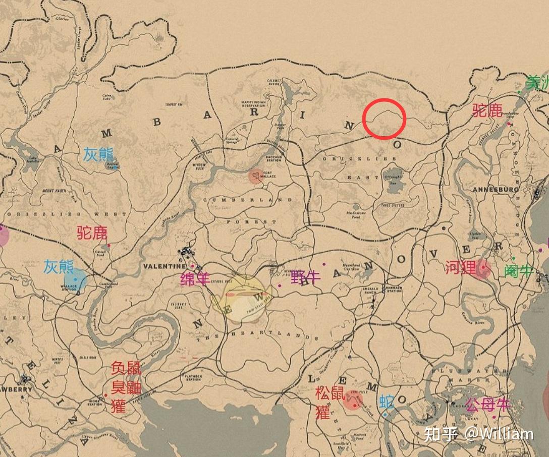 荒野大镖客2的驼鹿到底在哪抓