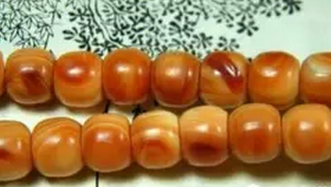 如何鉴别砗磲真假和品质？ - 知乎