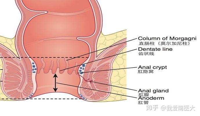 v2-2e8ad3cb999563728527403da6b4cb7d_r.jpg