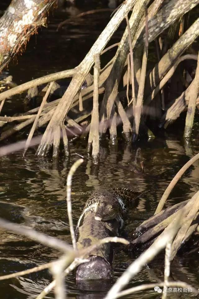 参加LeanIn国际义工旅行之后的收获有什么呢,