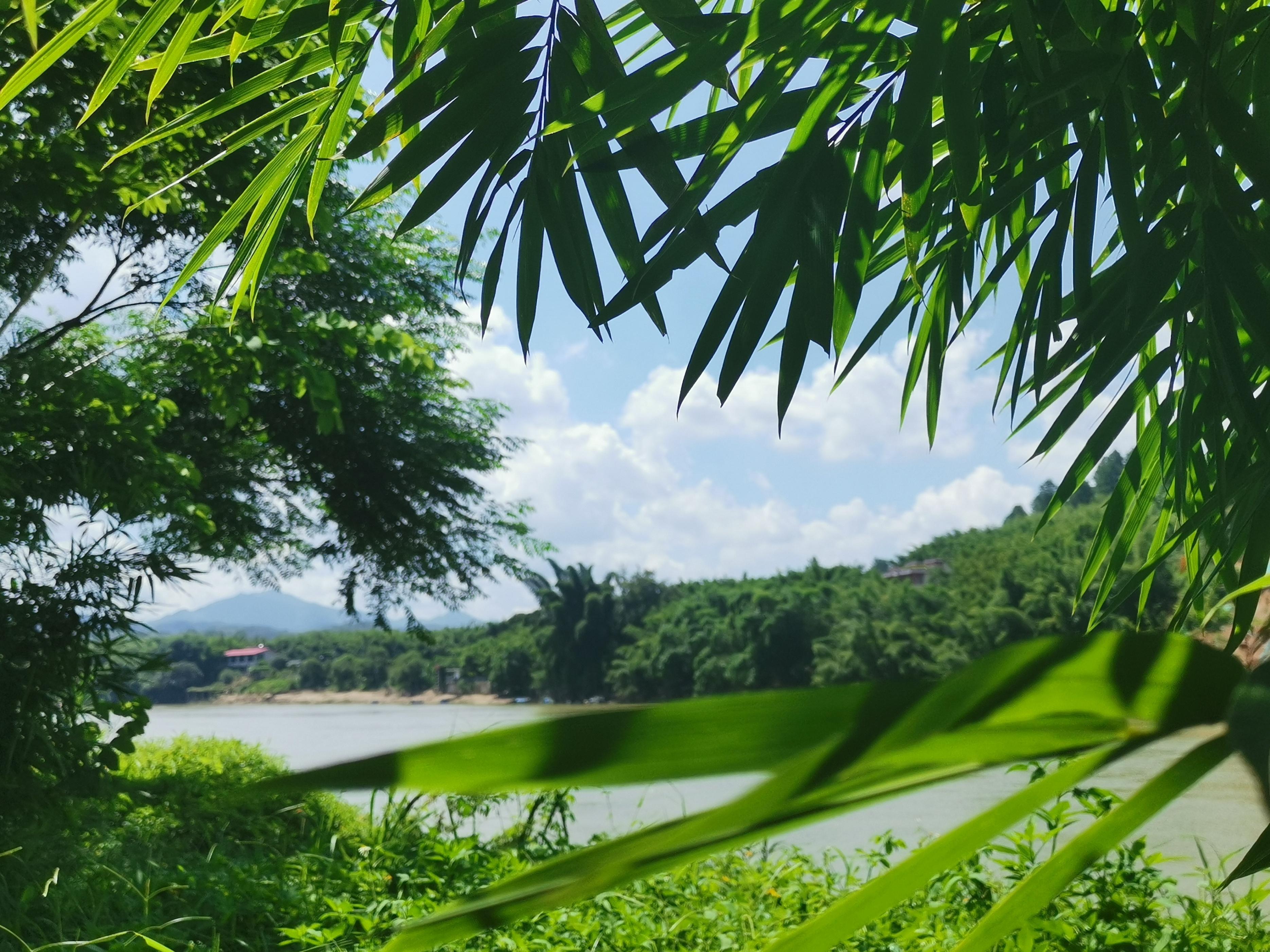 广东这个山区县存在感太低广宁竹海能否让它名扬天下
