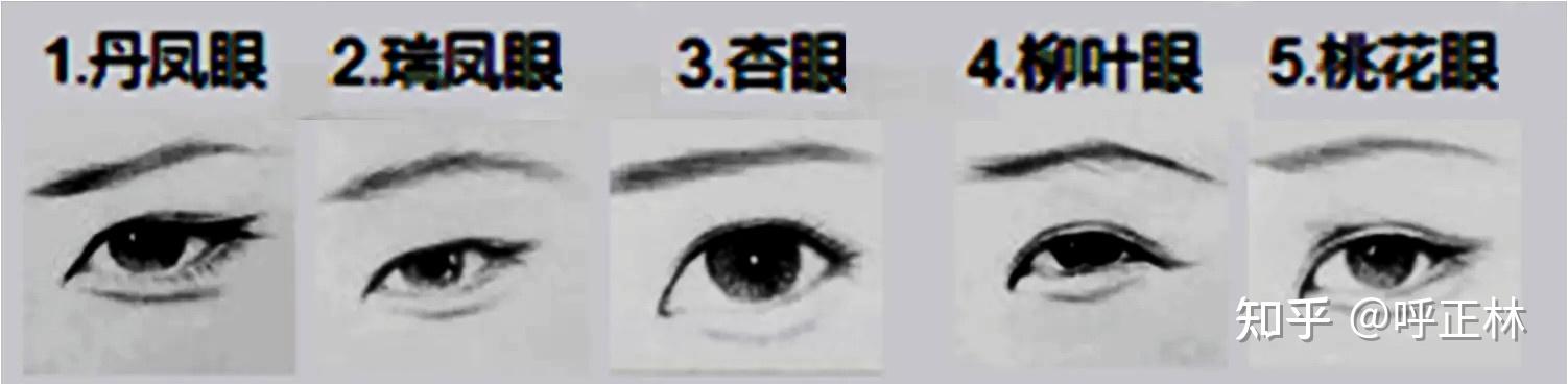 圆眼和杏眼的图片区分图片