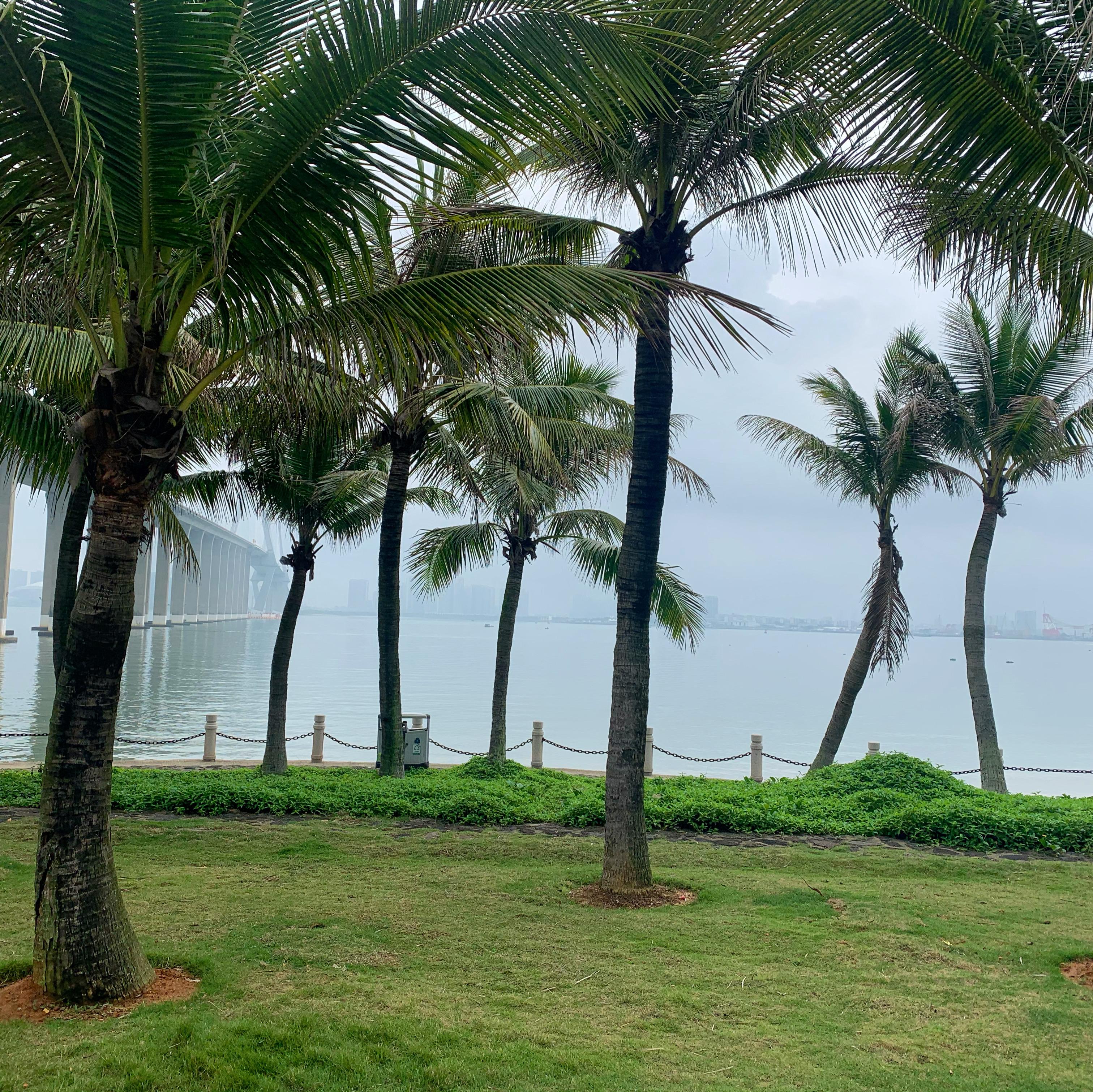 爱上这座城市和湛江有关的记忆