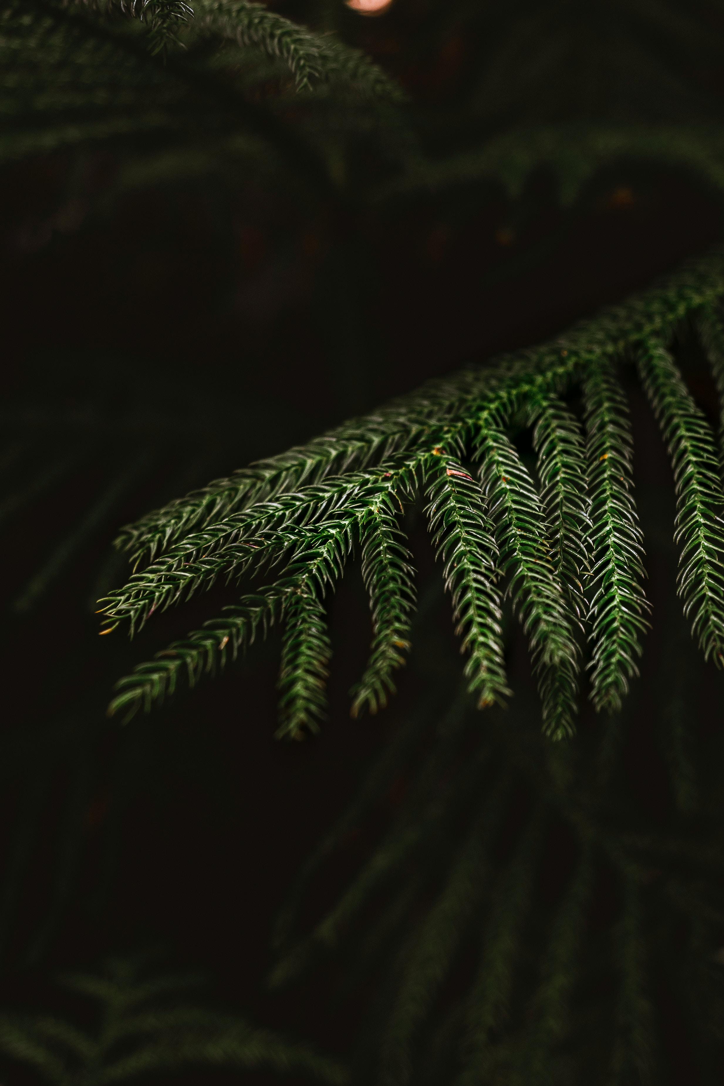 小区周边配套详述