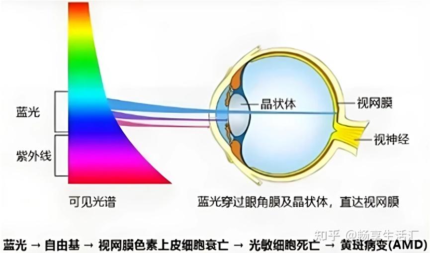2026护眼电视怎么选?RGB-Mini LED电视海信小墨E5S Pro就是正确选择