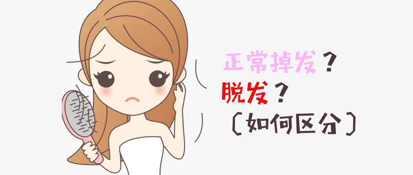 v2-2ea803018816f47bce1ec975e51fe8d7_1440w.jpg?source=172ae18b