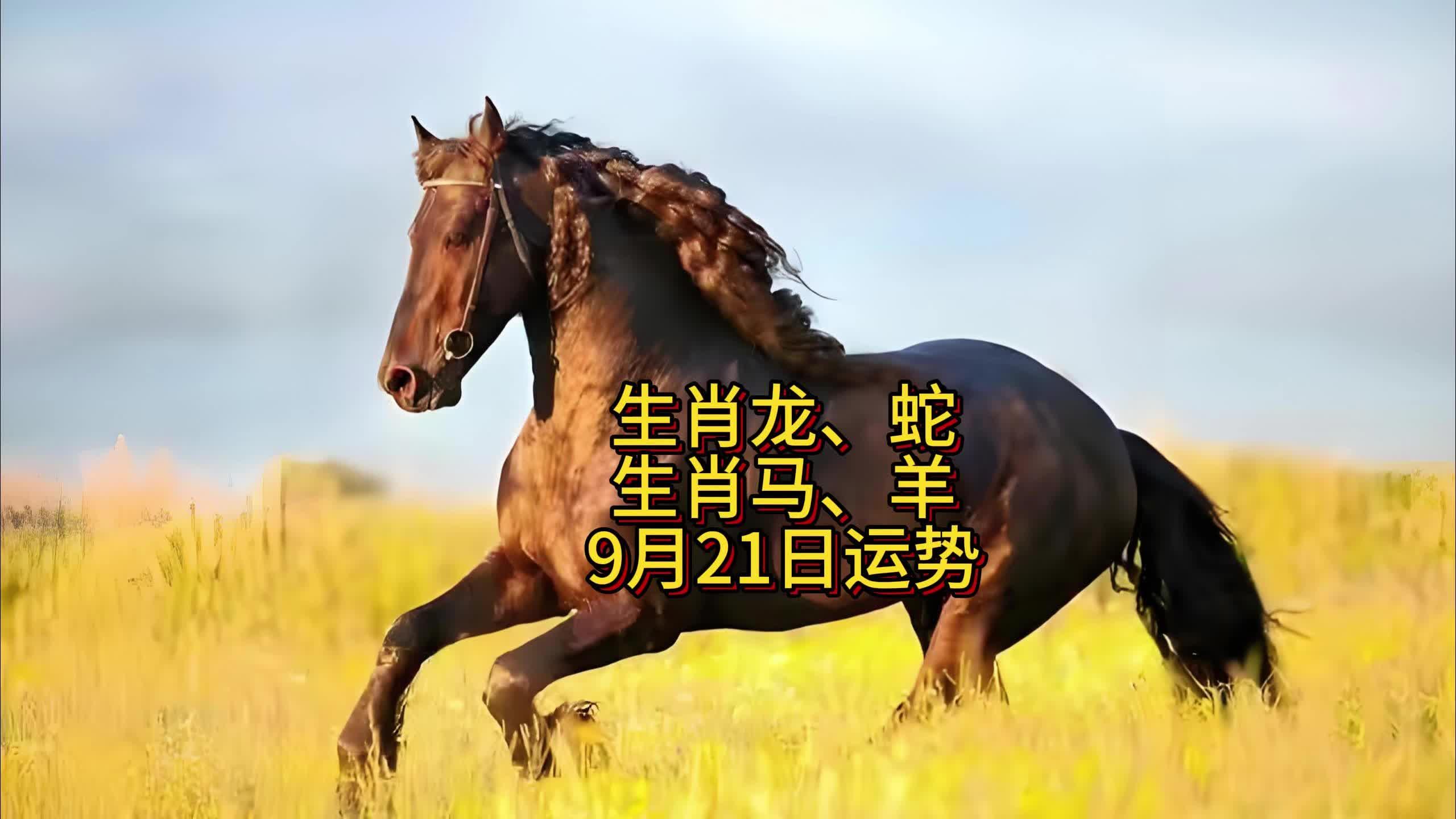 20年9月21日生肖运势(2021年9月21日十二星座运势)