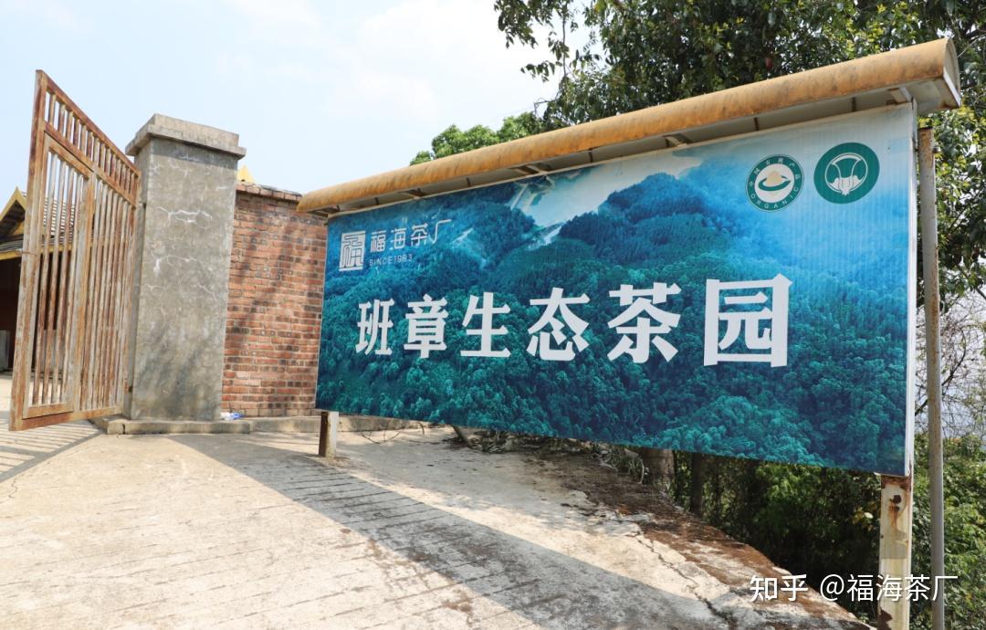 原野的呼唤春天的奔赴2021年福海茶厂春茶寻茶之旅