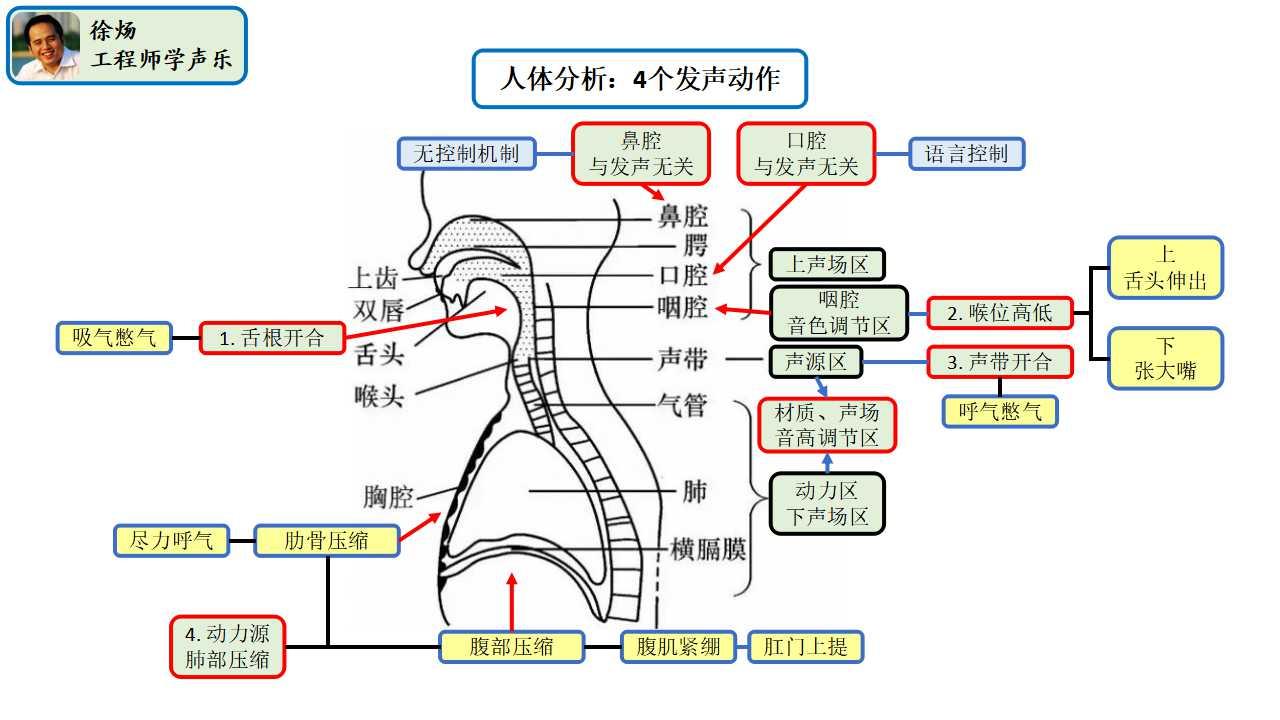 工程师学声乐09人体分析4个发声动作