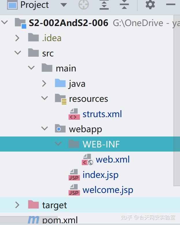 Java struts2 xss s2 002 