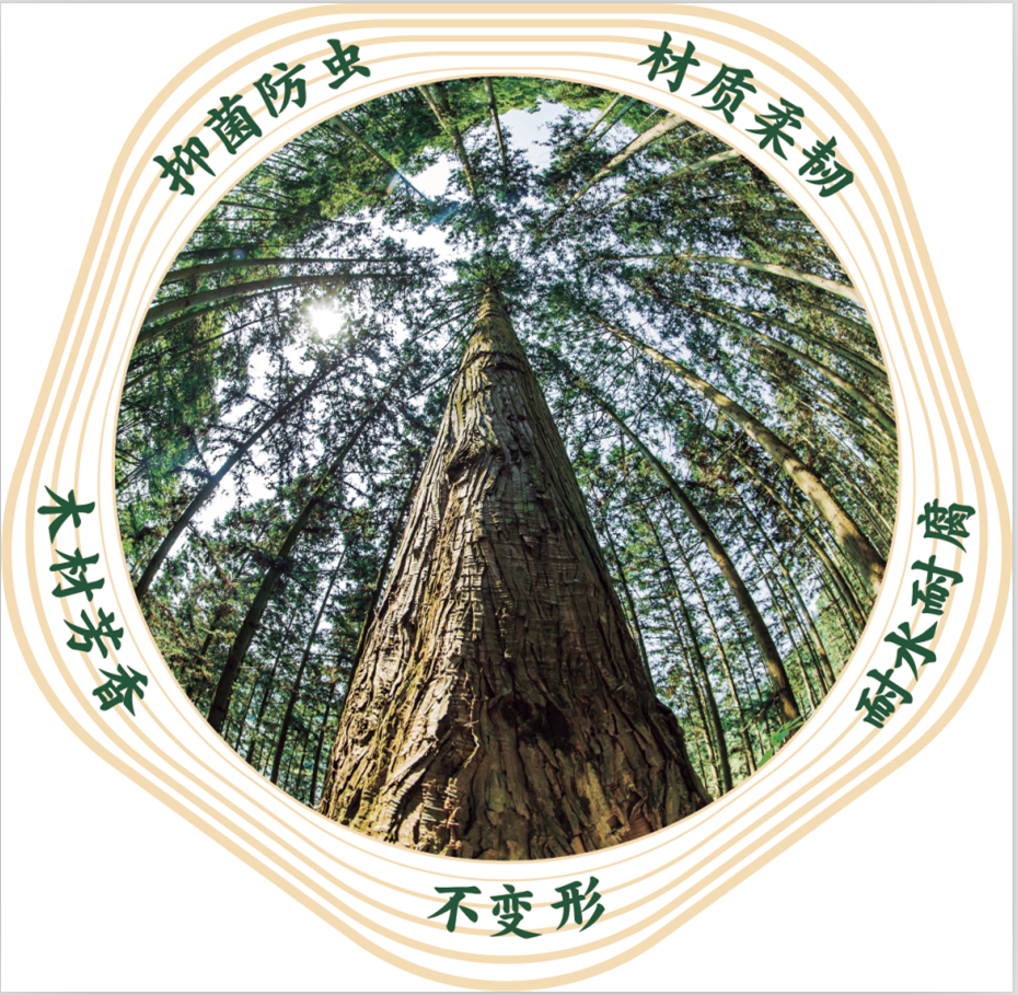 何为香杉文化 知乎 何为香杉文化 知乎