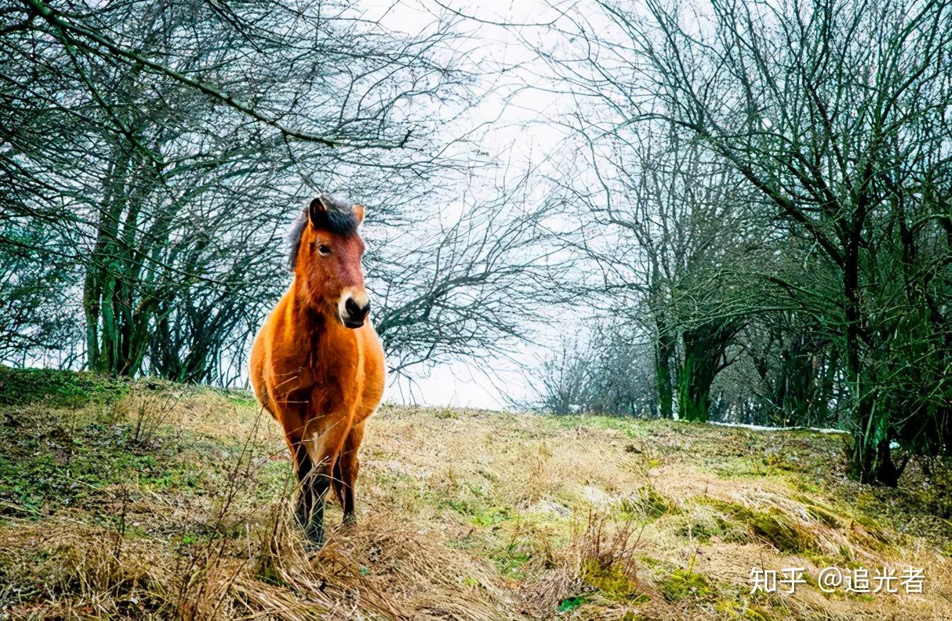 重庆旅行攻略|教你三天玩转魔都重庆!-重庆游玩攻略2日游长江索道