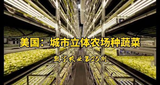在美国的尸体农场里会发生些什么