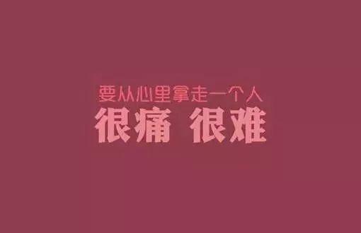 放不下一个人,怎么办?