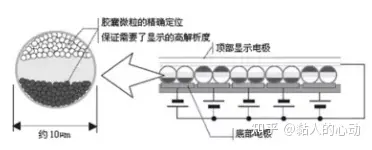 学英语机子哪个好_学英语买哪个机器好_英语学习机哪种好