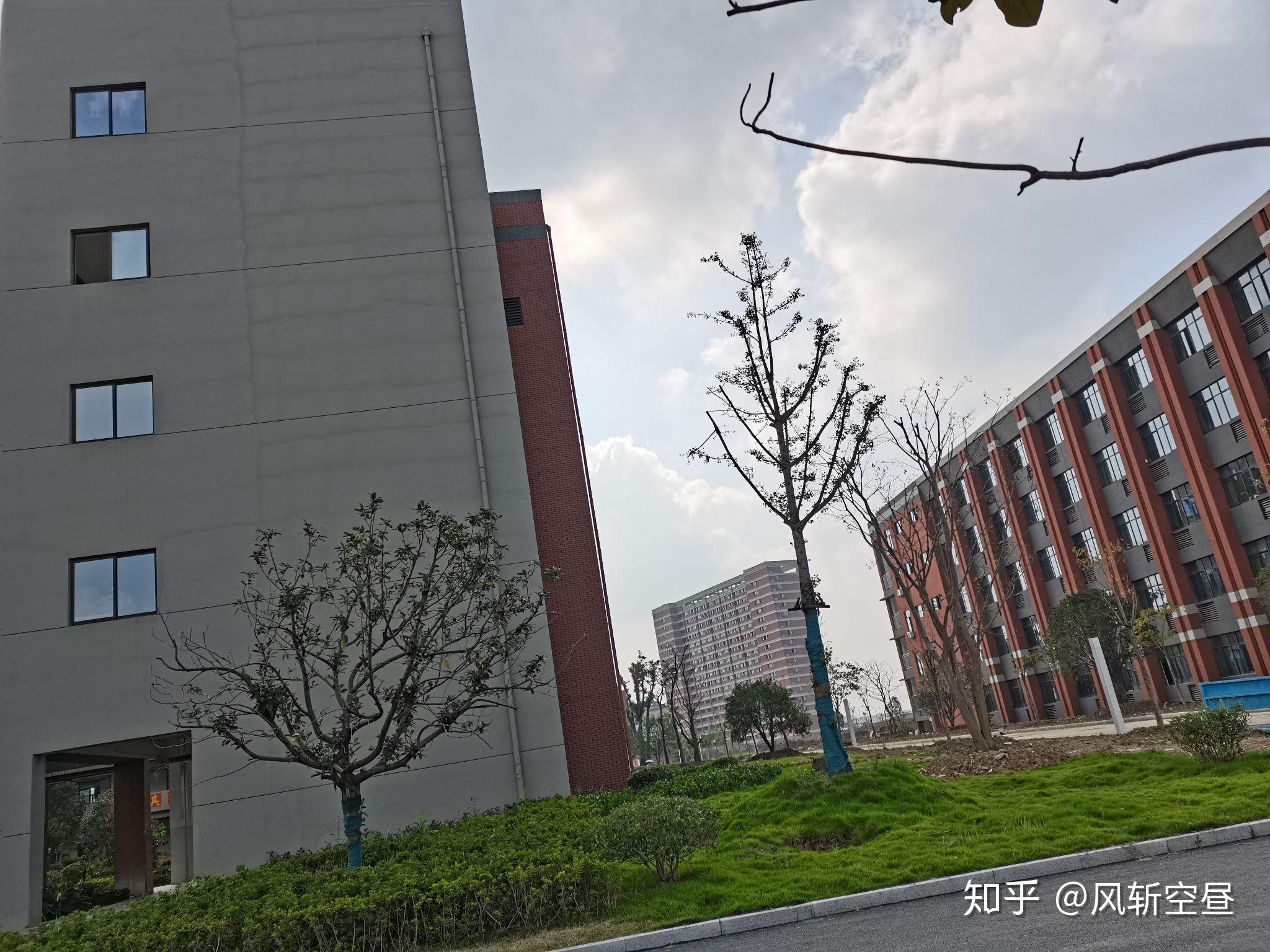 在合肥衡安中学读书时一种什么样的体验