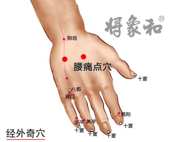 腰阿是的准确位置图片图片