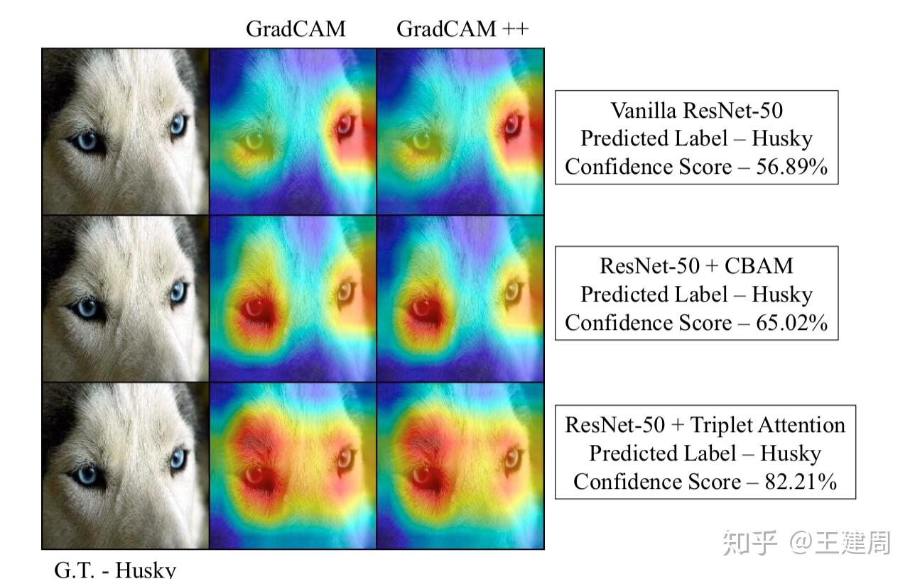  convolutional triplet attention module 