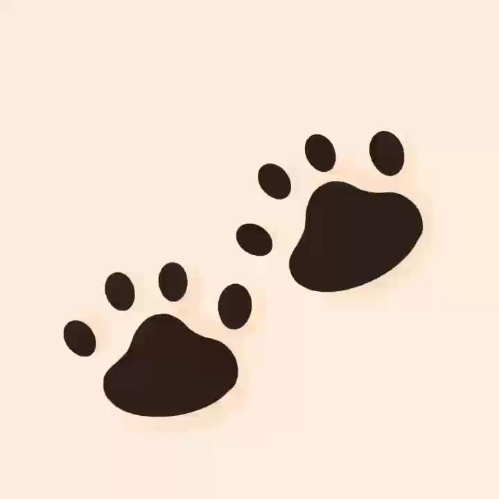 简笔画小狗爪子