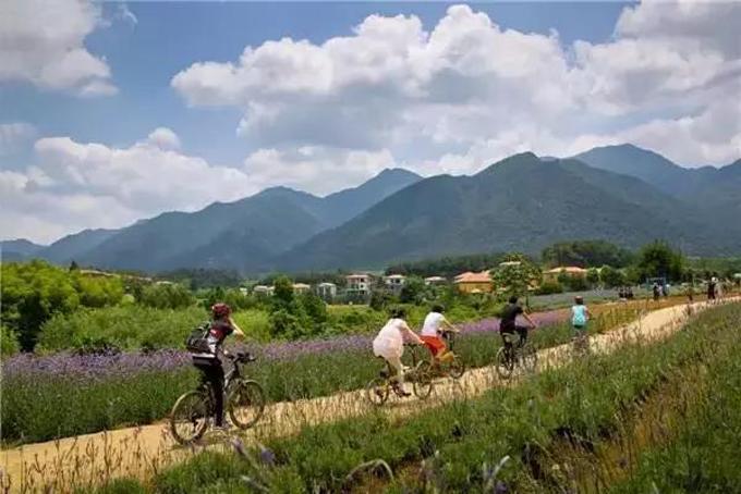 精品民宿丨禾肚里——蛙声稻香荷风星月 ,一间长在稻田里的民宿