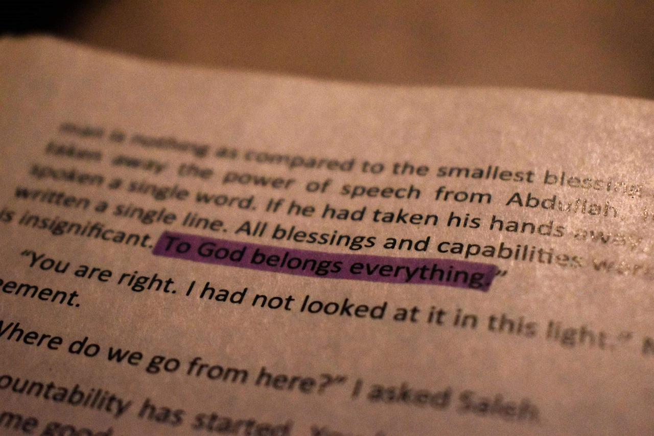 3. 铁力木成本揭秘