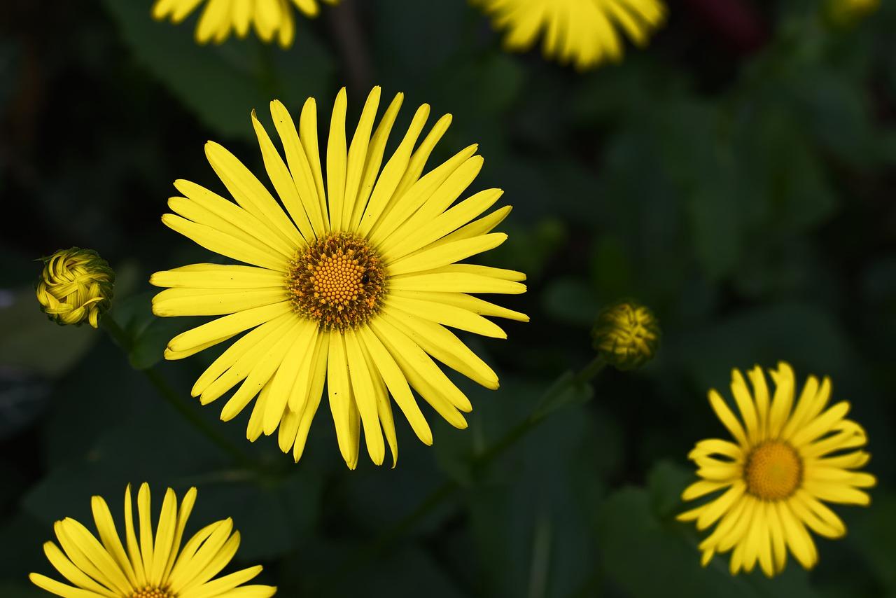 4. 特色农家乐体验