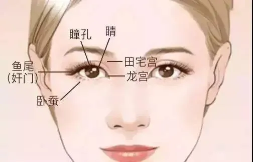 面相学基础知识—眼睛 - 知乎
