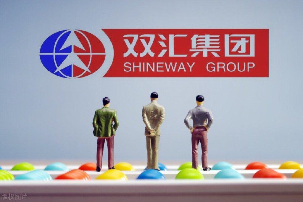 双汇发展(000895)