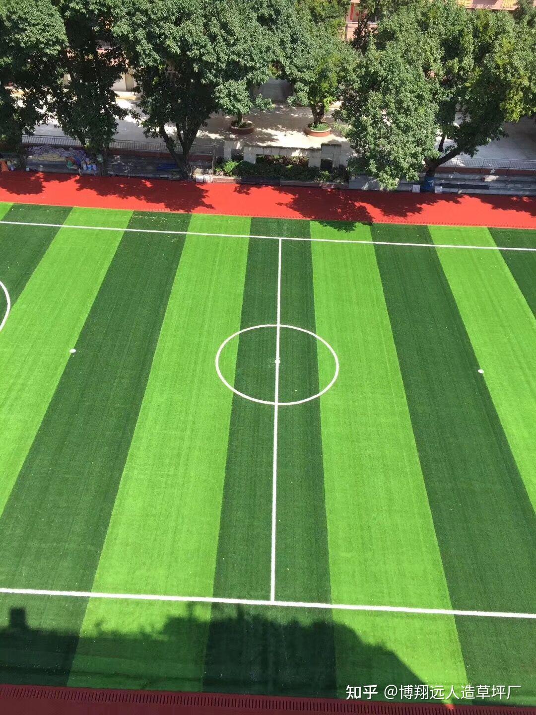 学校人工草坪多少钱