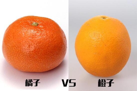 v2-2f36c272ed8f93604da441cad931458d_r.jpg