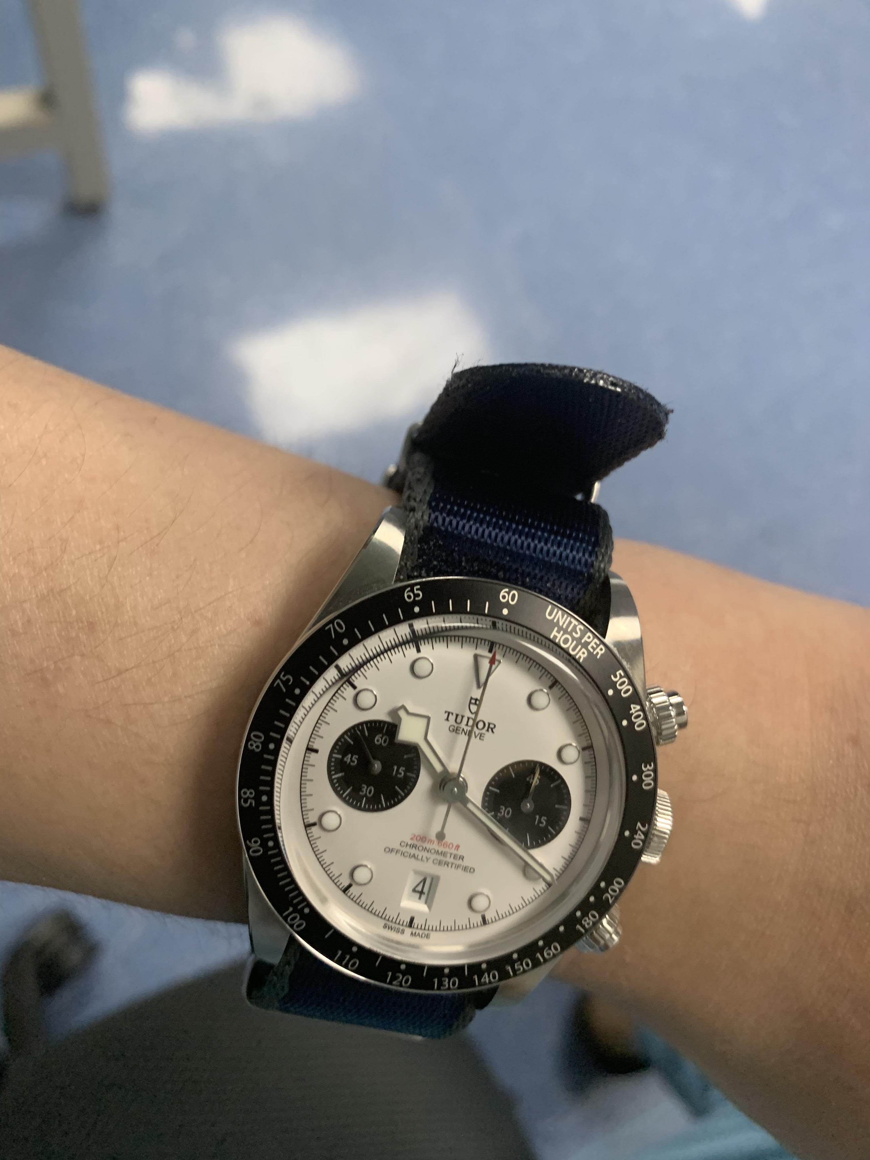 帝舵新款熊猫盘怎么样? - 知乎