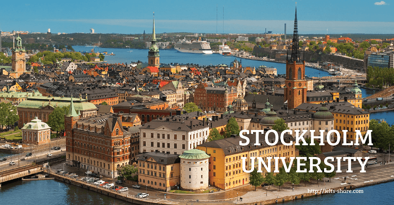 瑞典本科提供英文授课项目最多的北欧国家