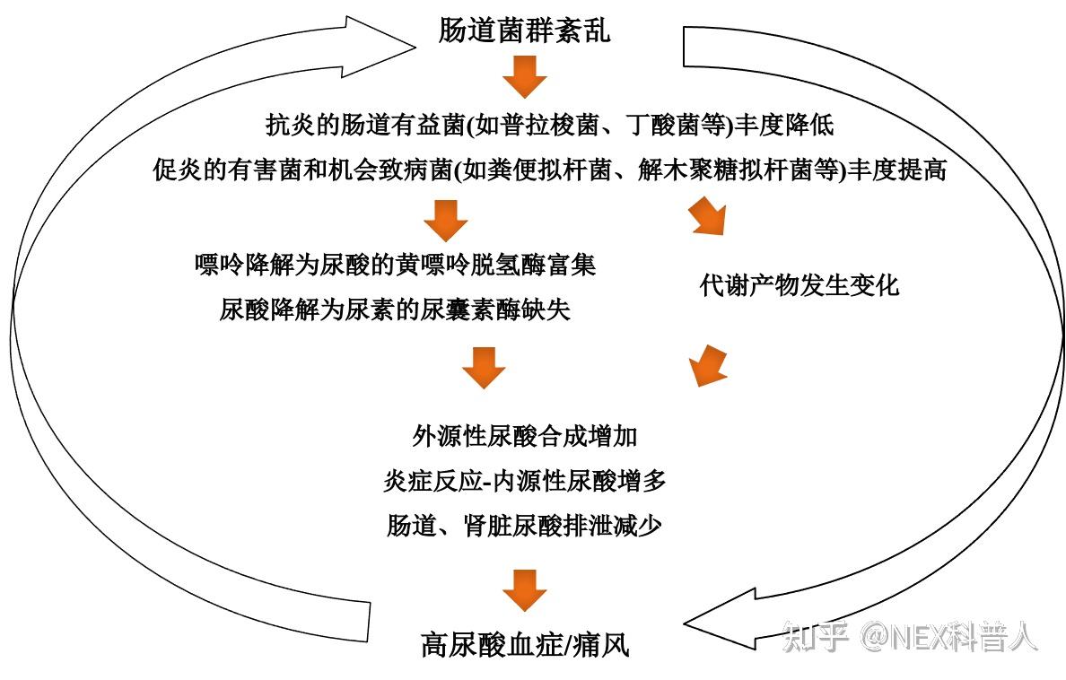 如何看待蘭州大學研發漿水酸奶稱可降解人體尿酸和重金屬殘留此研究